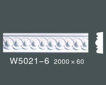 W5021-6